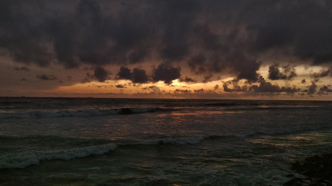 Sea Hut Homestay Kochi Kültér fotó