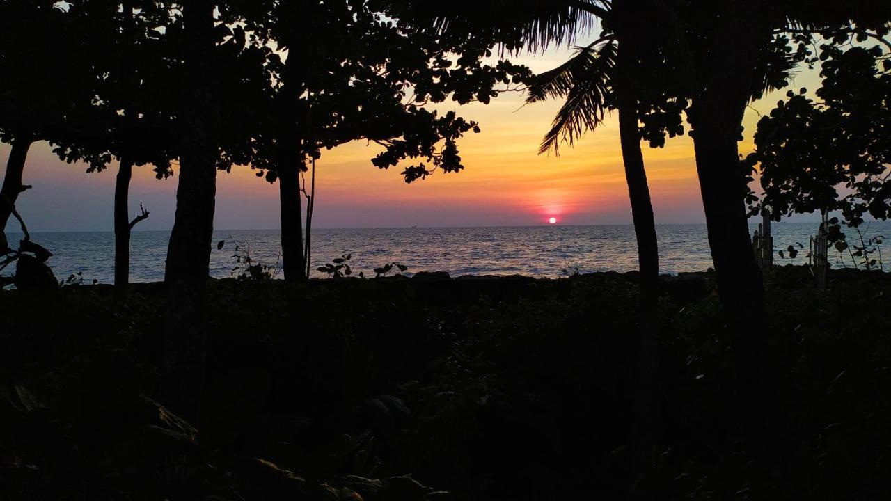 Sea Hut Homestay Kochi Kültér fotó